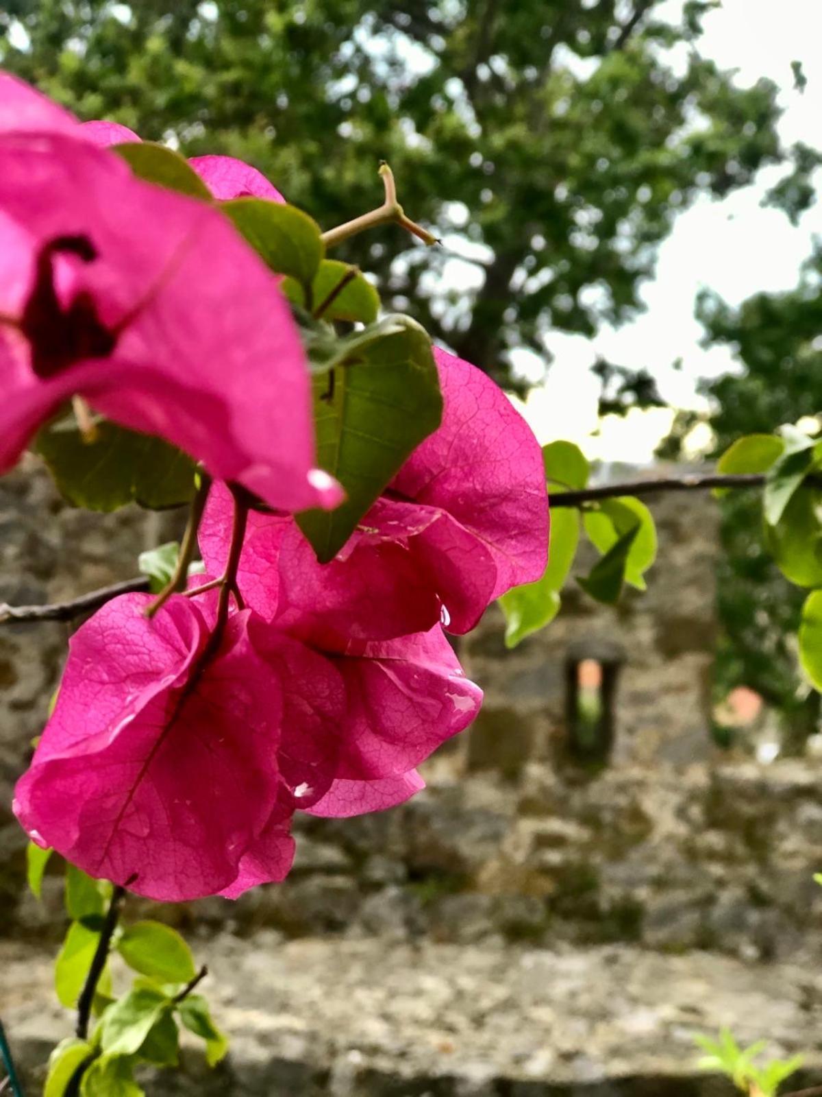 Pensjonat Sideroporta Castle Nafpaktos Zewnętrze zdjęcie